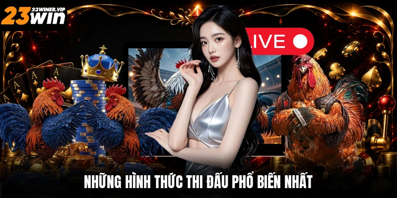 Những hình thức thi đấu phổ biến nhất
